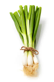 파 (GREEN ONION)