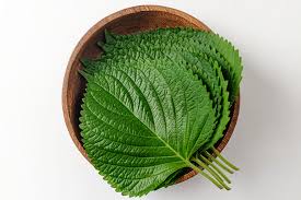 깻잎 (PERILLA LEAF)